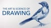 Basic Skills / Getting Started with Drawing